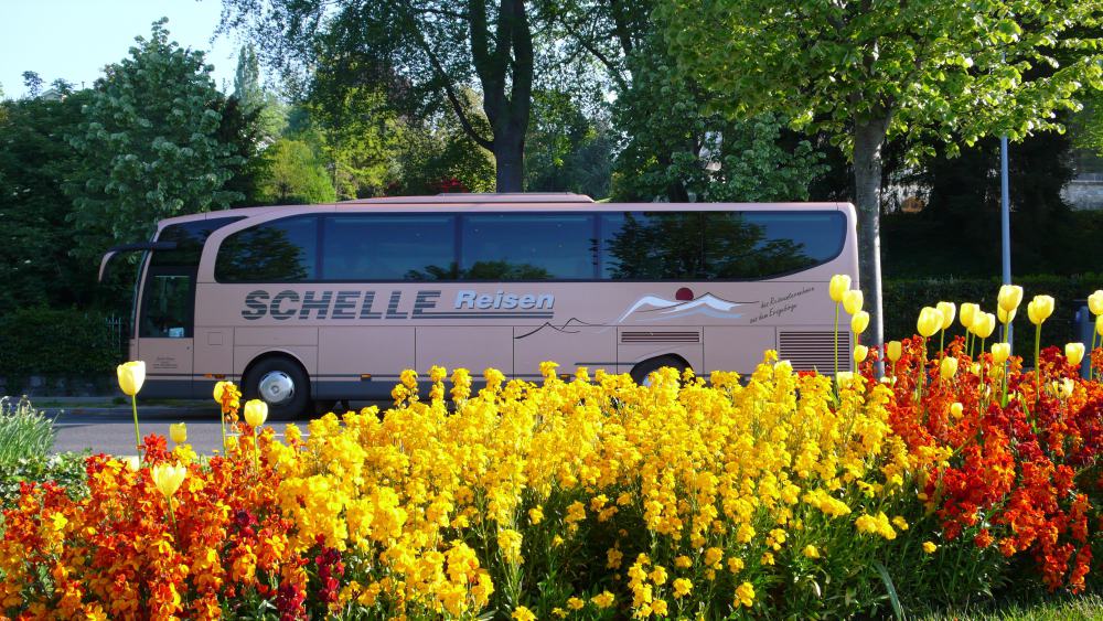 Bus hinter Blumen